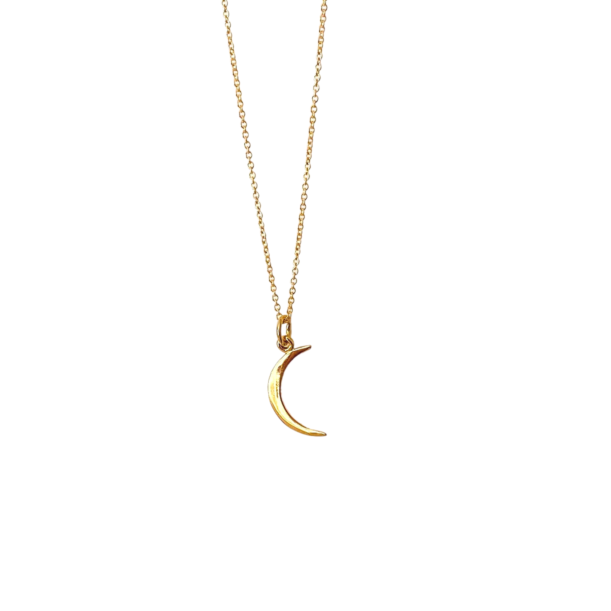 Mini Crescent Moon Necklace